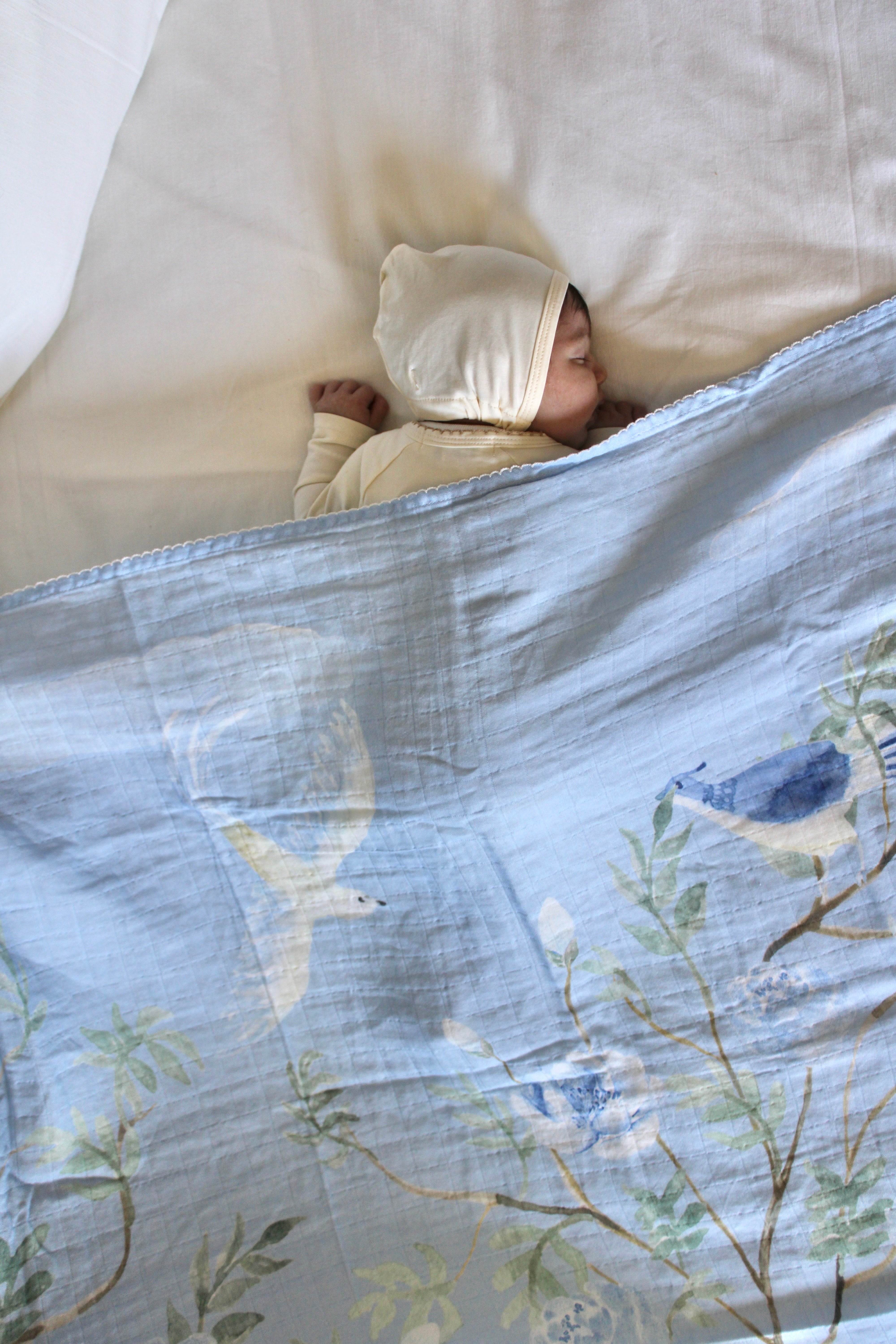 BUNDLE The Dove Muslin Blanket & Lovey