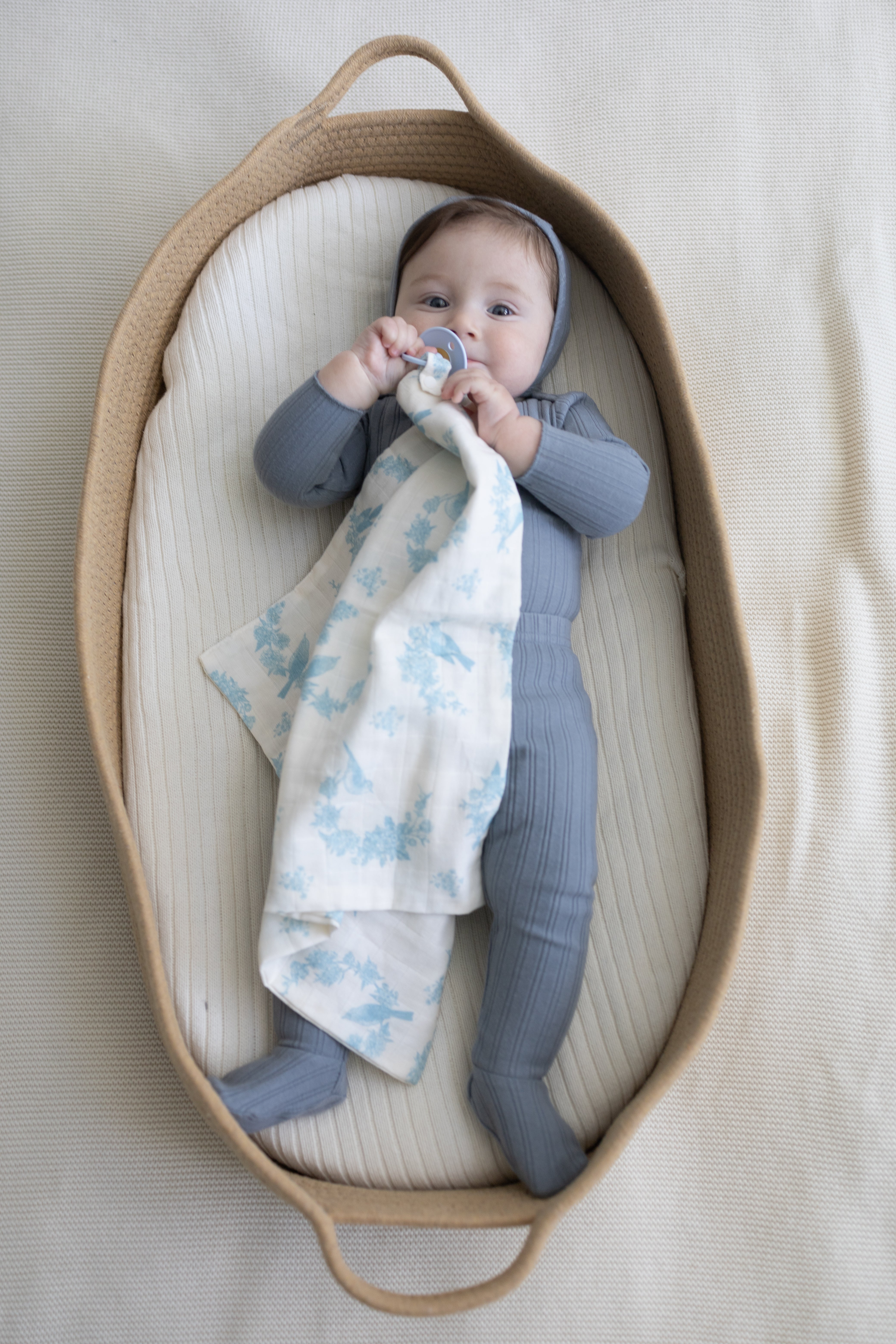 BUNDLE Little Blue Bird Muslin Blanket & Lovey