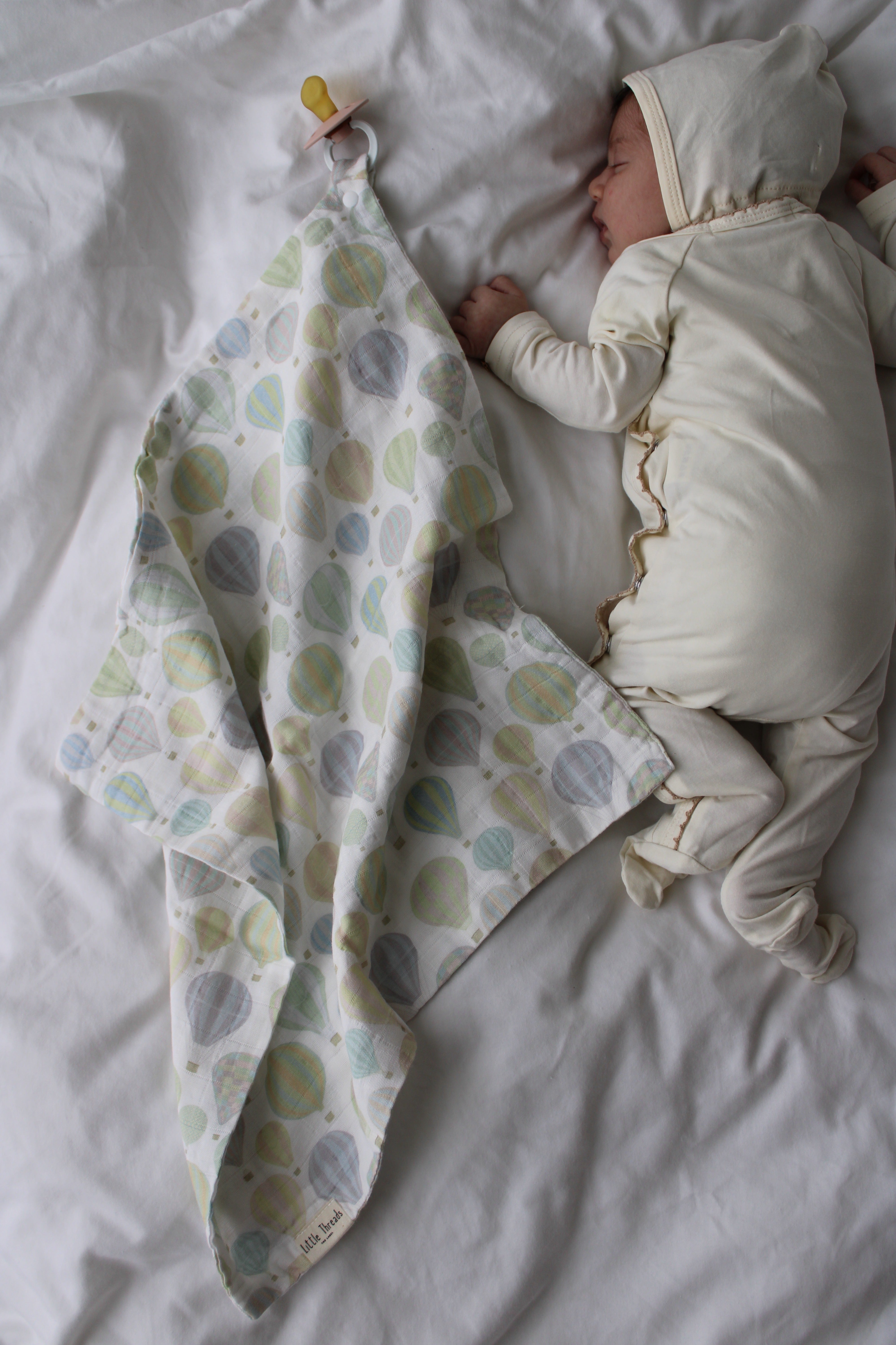 BUNDLE Pastel Air Balloon Muslin Blanket & Lovey